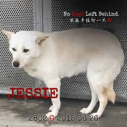 Thumbnail photo of Jessie 2802 #4