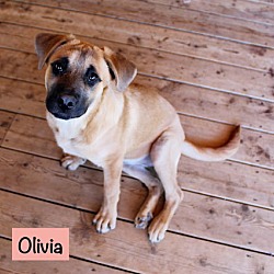 Thumbnail photo of Olivia #4