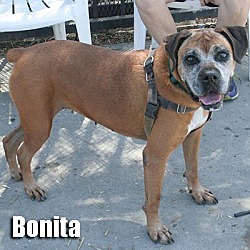 Thumbnail photo of Bonita #2