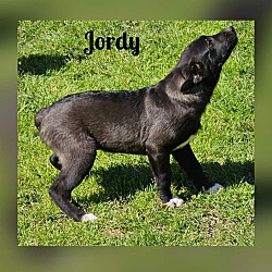 Photo of Jordy