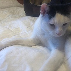Thumbnail photo of Porgy #2