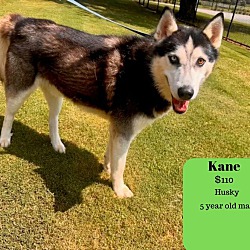 Photo of Kane