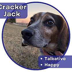 Photo of Cracker Jack