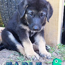 Photo of Fable