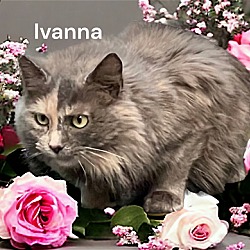 Photo of Ivanna