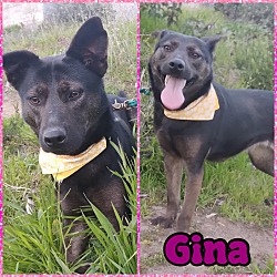 Thumbnail photo of GINA #2