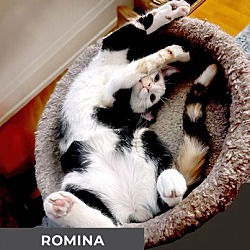 Thumbnail photo of Romina #3