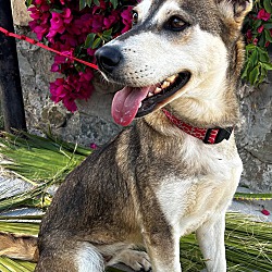 Photo of LESLEY