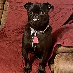Photo of Ollee