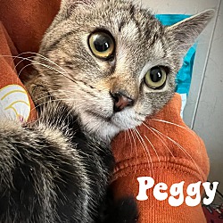 Photo of Peggy