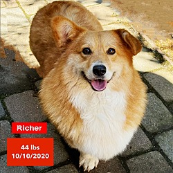 Photo of Richer