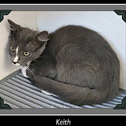 Photo of Keith