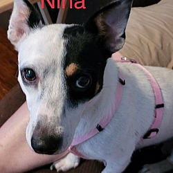 Photo of Nina