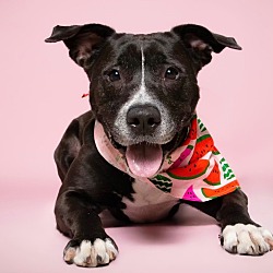 Photo of Bonita