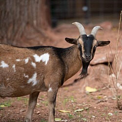 Photo of Dale