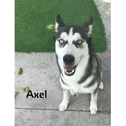 Photo of AXLE