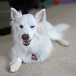 Thumbnail photo of Ghost - Great Boy! #1