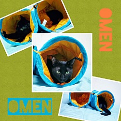 Photo of Omen