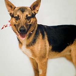 Photo of Nicholas