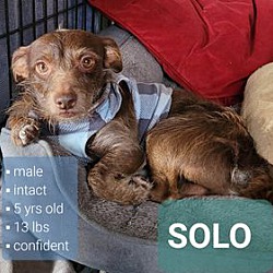 Photo of SOLO
