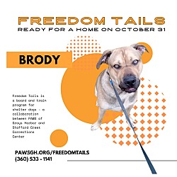 Thumbnail photo of Brody #1