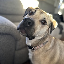 Photo of Pepper