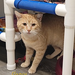 Photo of Clancy