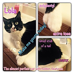 Thumbnail photo of Lola #4