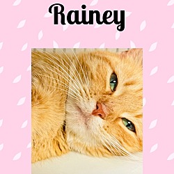 Photo of Rainey