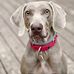 Photo of Sophie