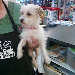 Thumbnail photo of Elaines Pet Depot #2