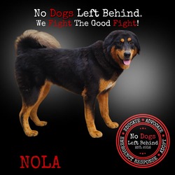 Thumbnail photo of Nola 9722 #1