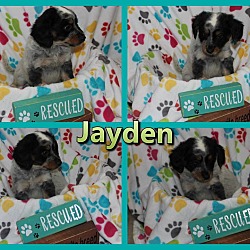 Thumbnail photo of Jayden #2