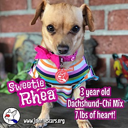 Thumbnail photo of Sweetie Rhea #3