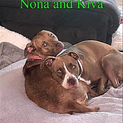 Thumbnail photo of Kiva and Nona #4