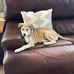Photo of Luna