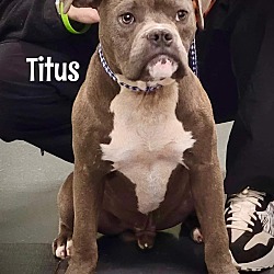 Photo of Titus