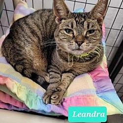 Photo of Leandra-Sponsored