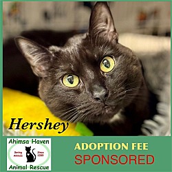 Photo of Hershey