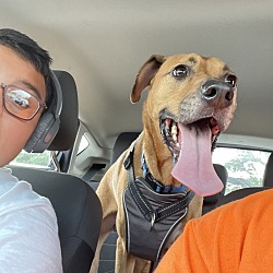 Thumbnail photo of Scooby #3
