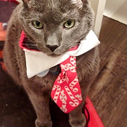 Photo of Tommy