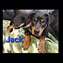 Photo of Jack
