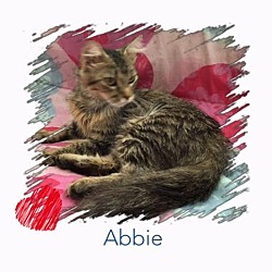 Thumbnail photo of Abbie #2