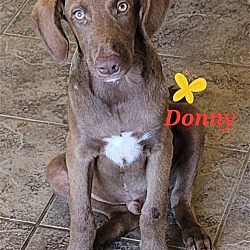 Photo of Donny