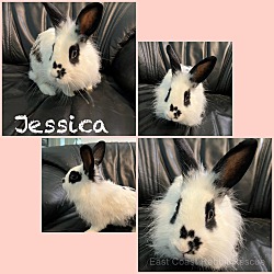 Photo of Jessica
