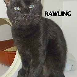 Thumbnail photo of Rawling-shiny! #1