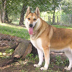 Photo of Jo Jo