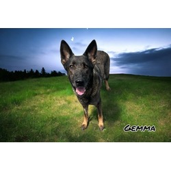 Thumbnail photo of Gemma #1