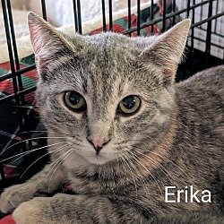 Photo of Erika