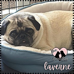 Photo of Laverne